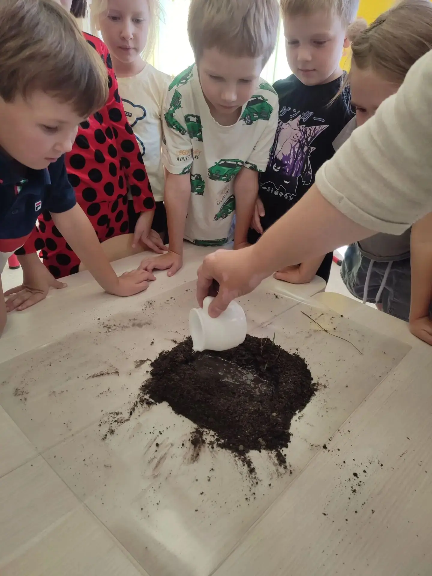 🌱 День открытий: почва, дождь и растения 🌏