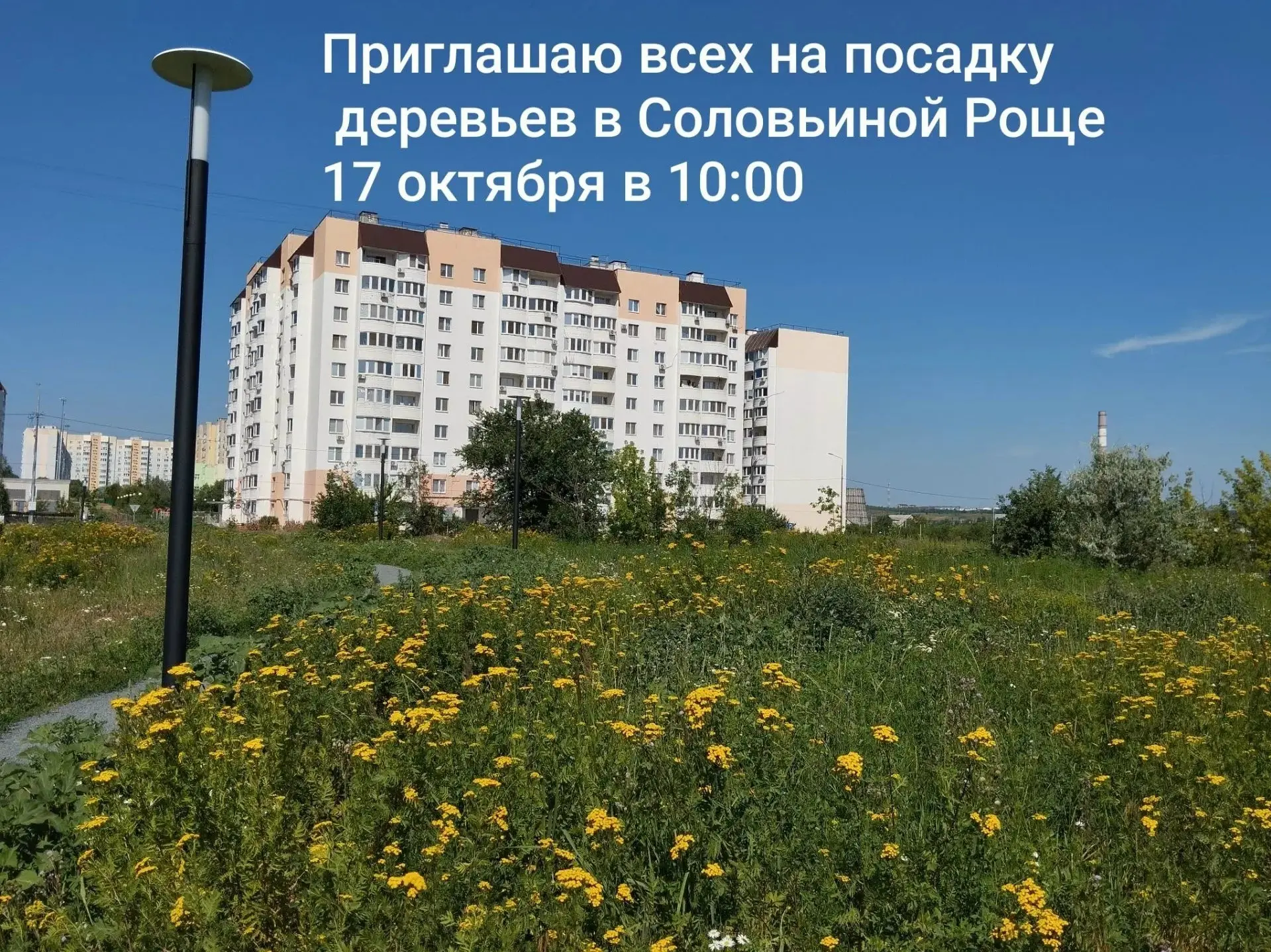 🌞  saratovsun подпишись!