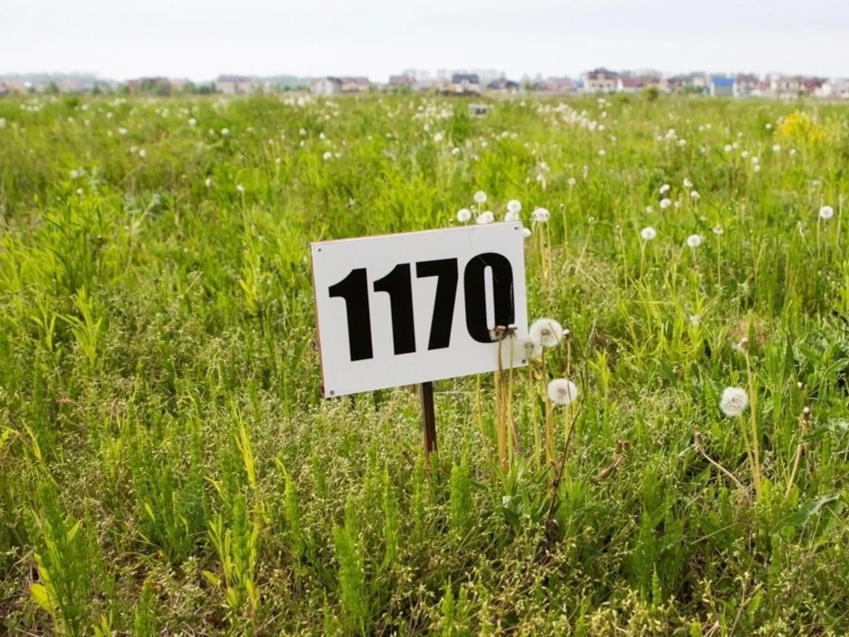 В Северодвинске распределят 106 земельных участков для многодетных семей