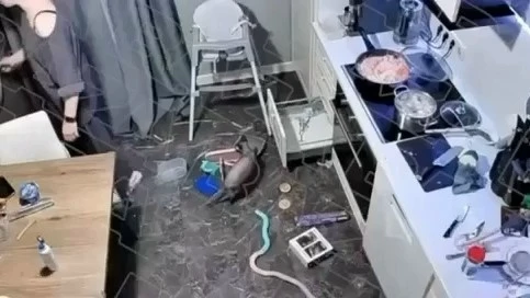 Москвичка случайно отправила айкос в духовку вместе с едой!