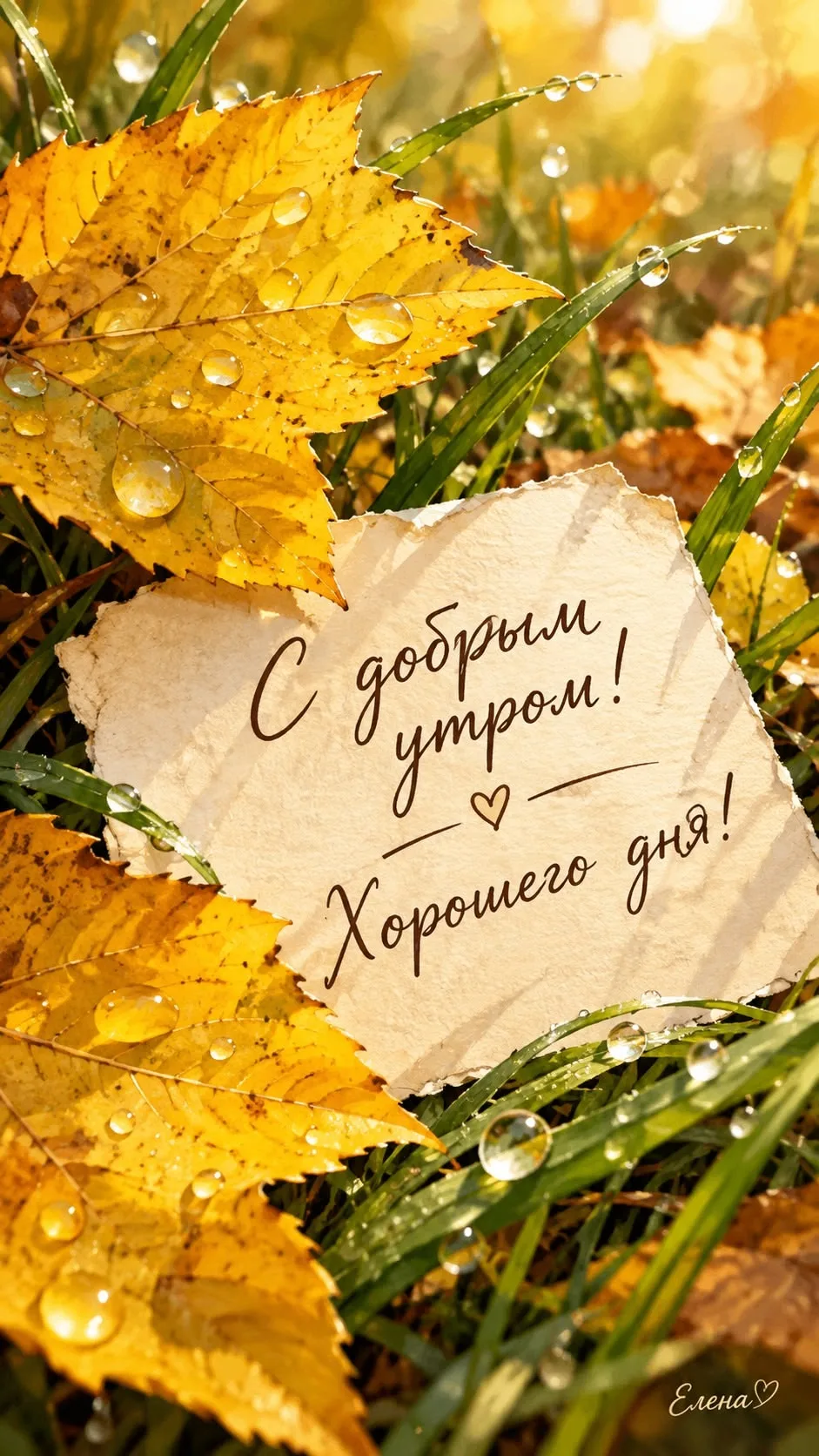 ☀️ Доброе утро!