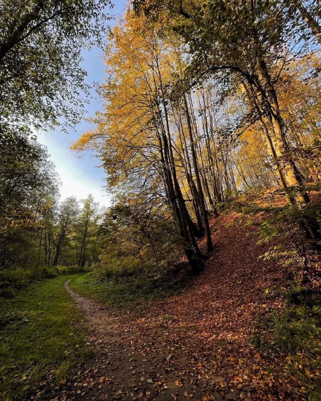 Какая же у нас осень топовая 😍