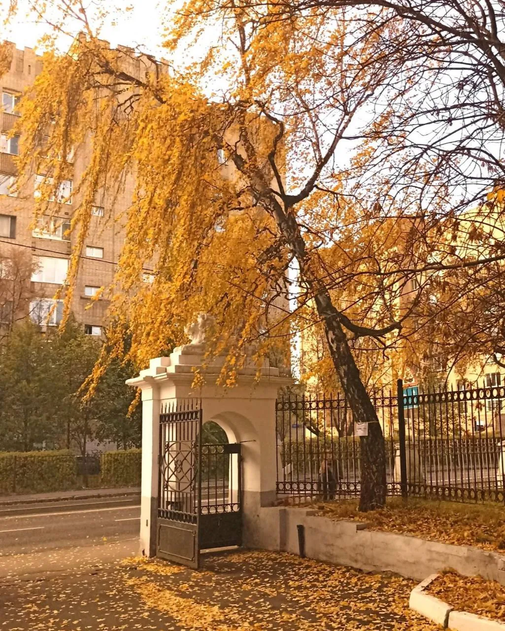 🍂Доброе утро, Воронеж
