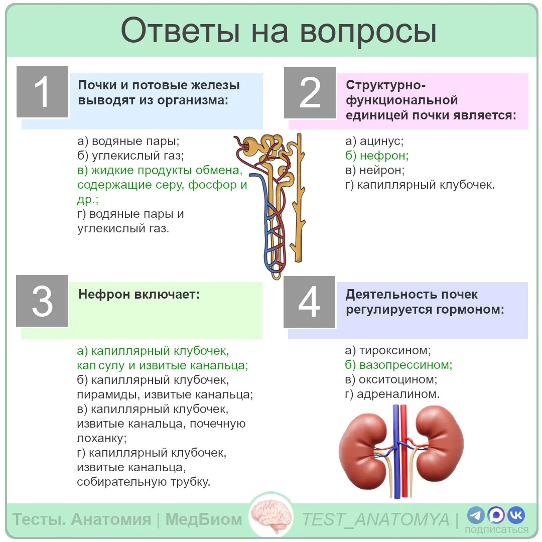 ⬆️ Ответы на вопросы