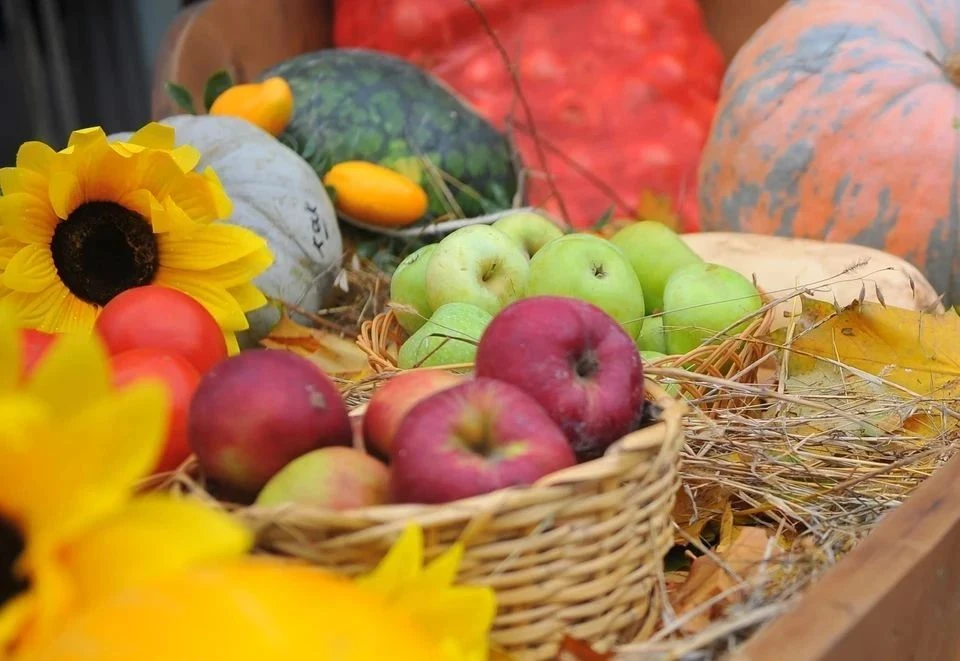 🥕🥔🍎Уважаемые бугульминцы и гости города!