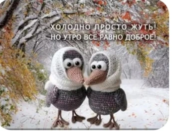 Всем доброго утра и хорошего дня! Утепляемся!😁