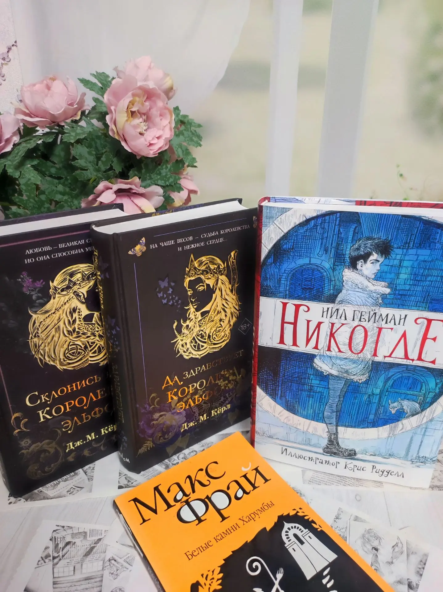 КНИЖНЫЕ ПЛАНЫ