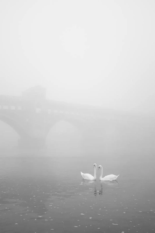 Photographer / Astrid Riecken