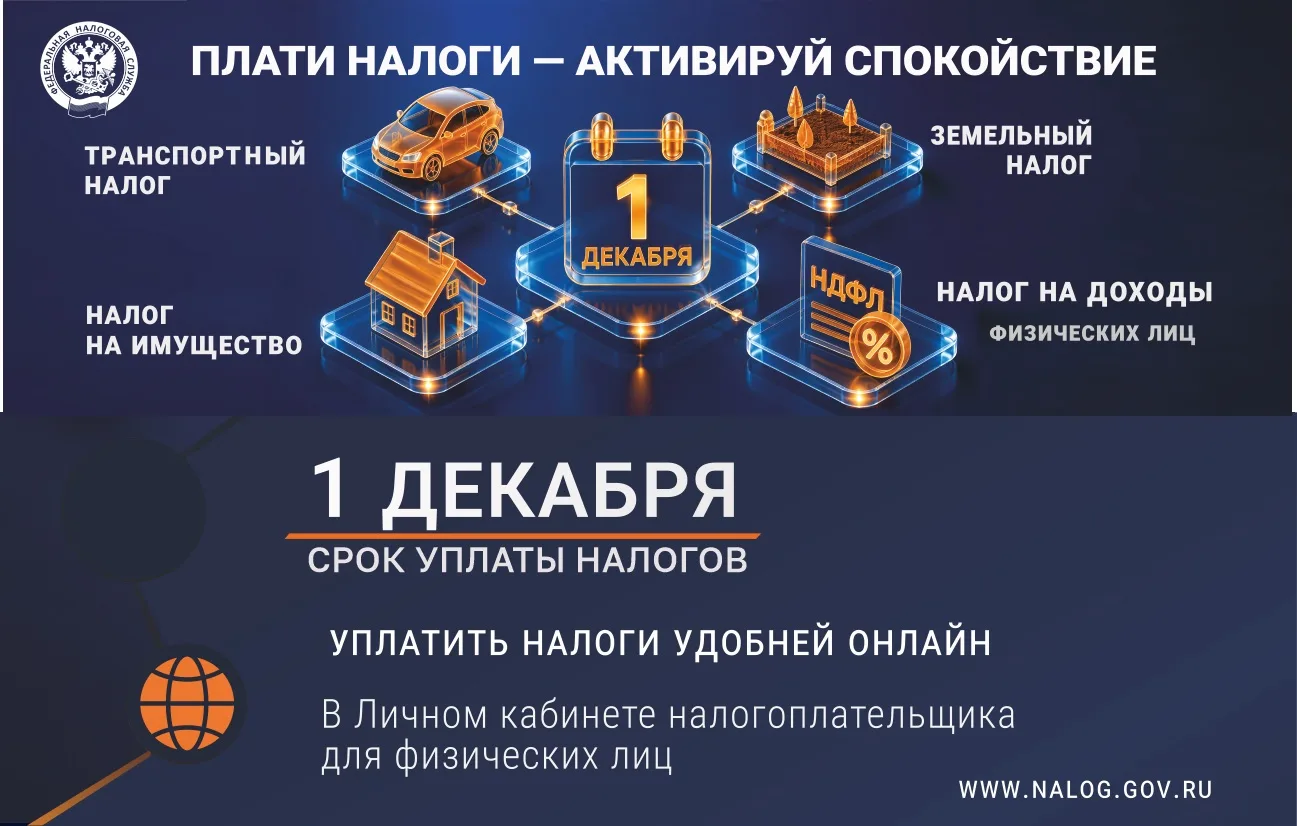 Оплати налоги до 1 декабря