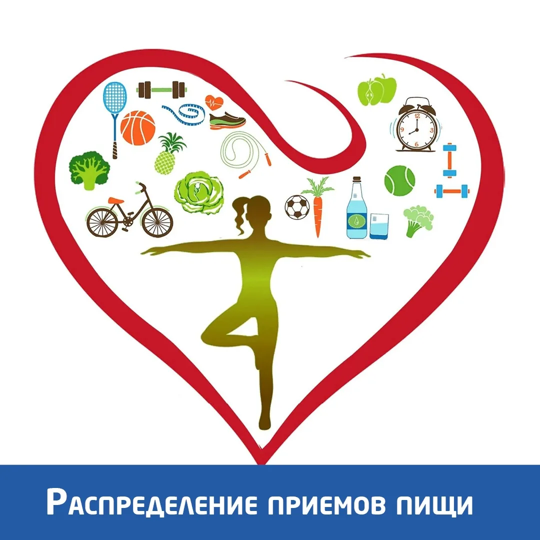 ⚡Распределение приемов пищи. Рассказывает наш диетолог Татьяна Касаткина.