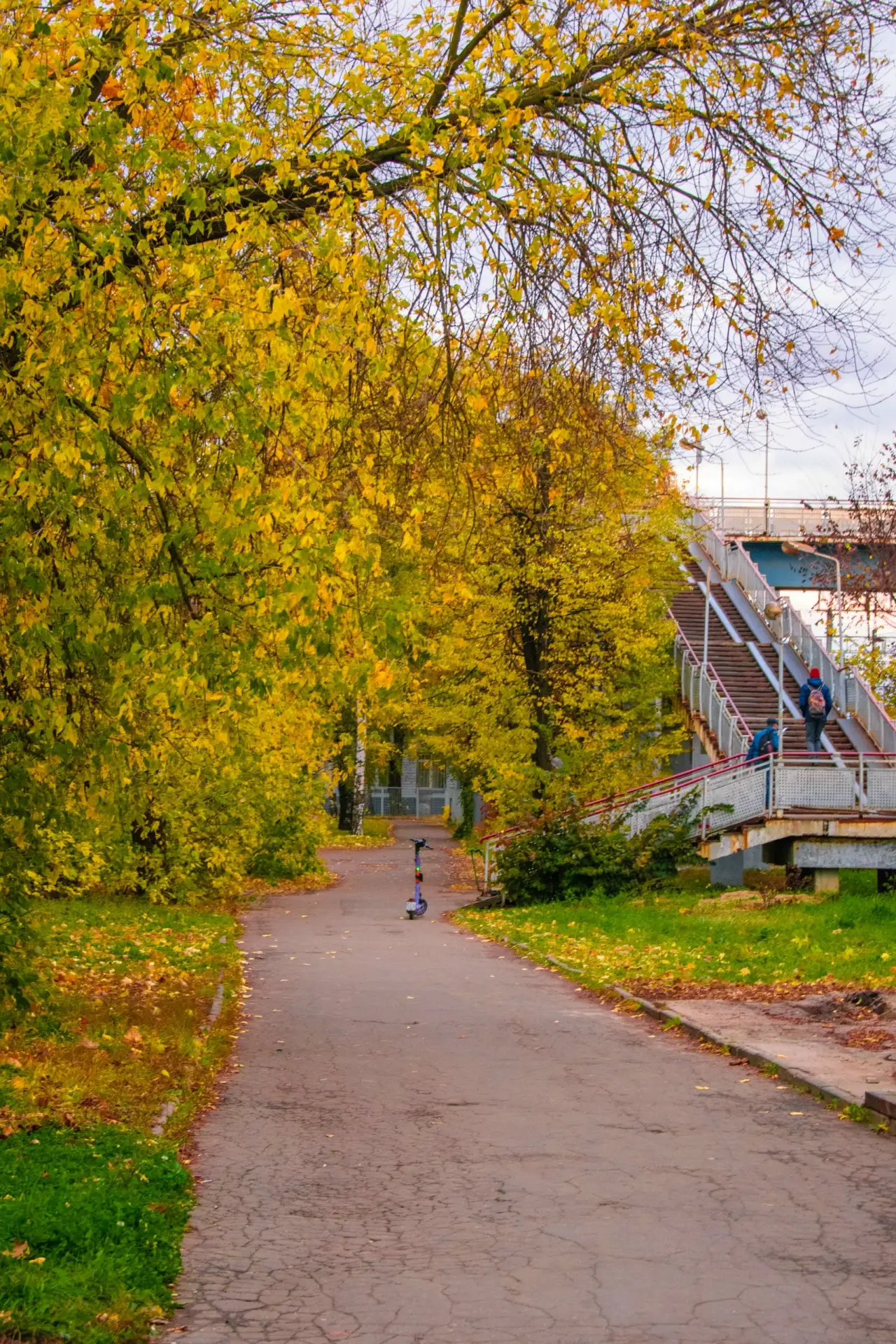 Станция Болшево🍂