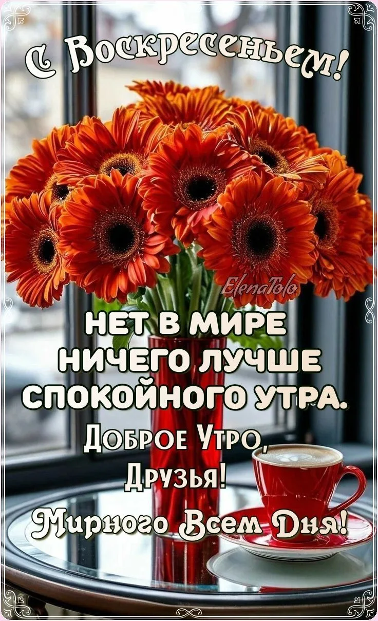 https://max.ru/se13912156_biz