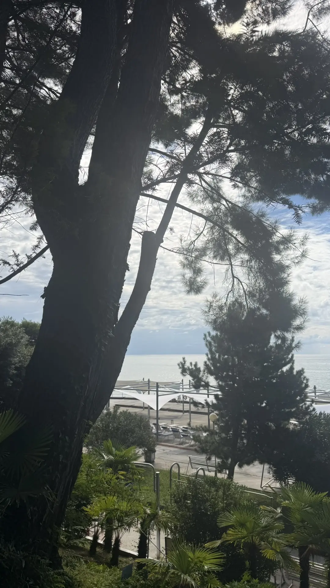 ☀️🌊🌴
