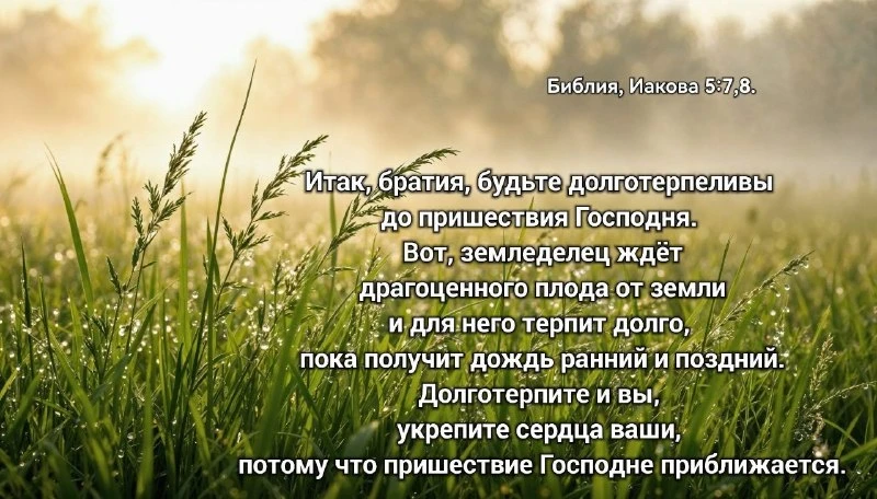 Пусть Господь укрепит ваши сердца! 🙏