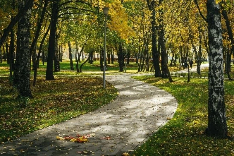 🍂 Осенний парк в золотой листве в районе Коптево