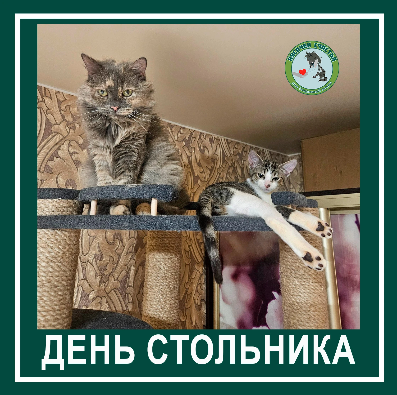 Дорогие друзья, мы желаем всем удачного начала рабочей недели. Сегодня понедельник, а э...