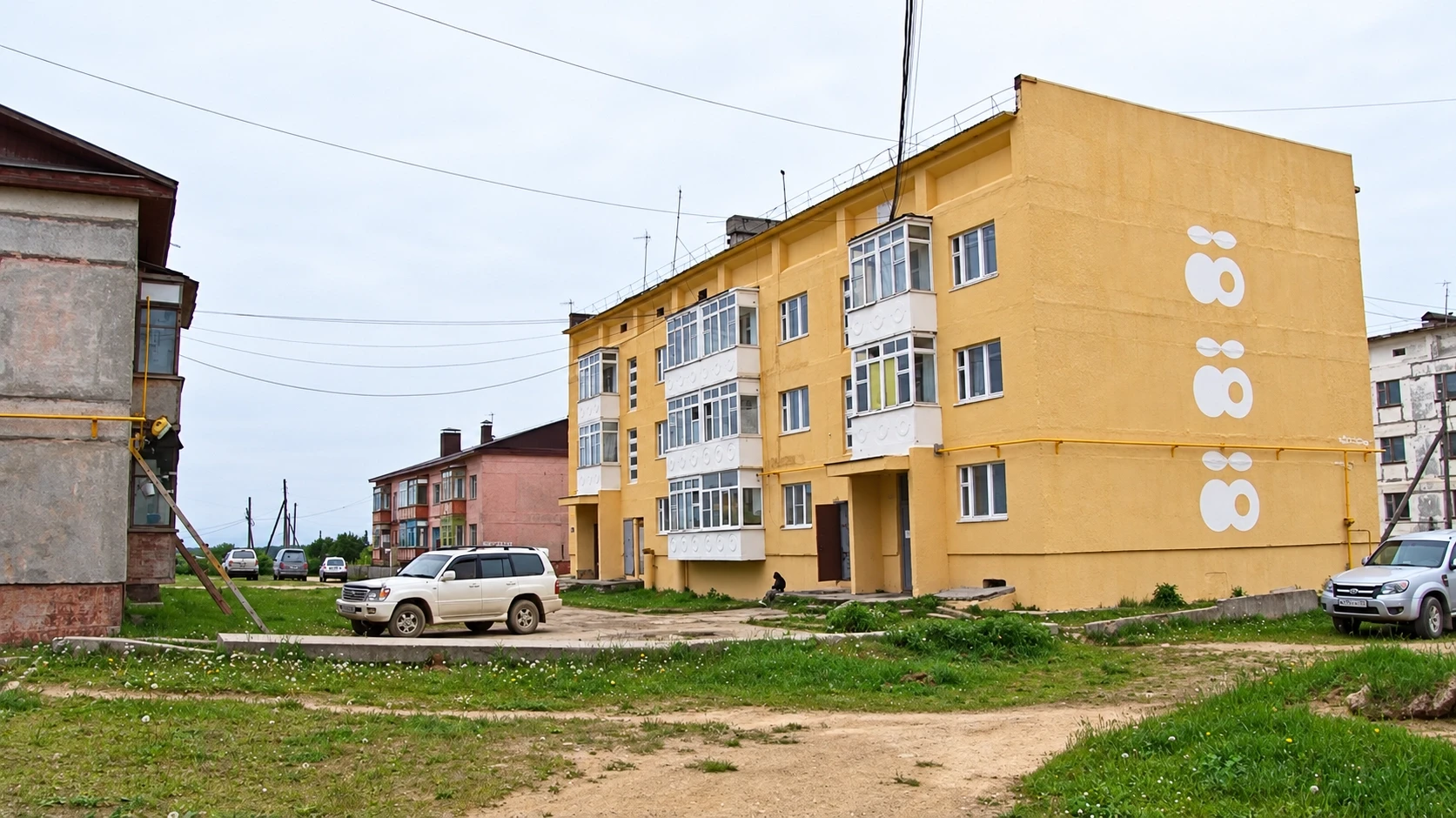 В Охинском районе водителю назначили пять суток ареста после наезда на собаку