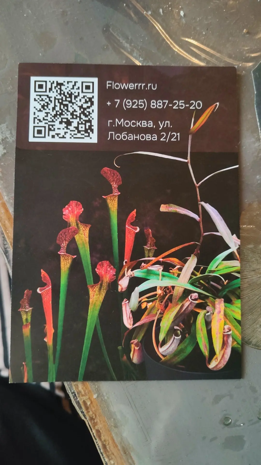 Если кому-то нужны контакты - ловите.
