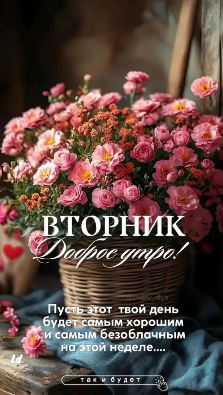 🌺ОТКРЫТКИ И ПОЗДРАВЛЕНИЯ 🌺