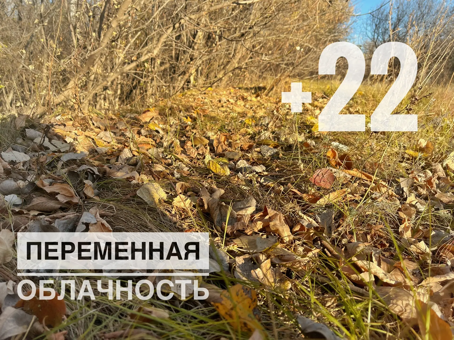 🍂 Без дождей, но уже не так жарко.
