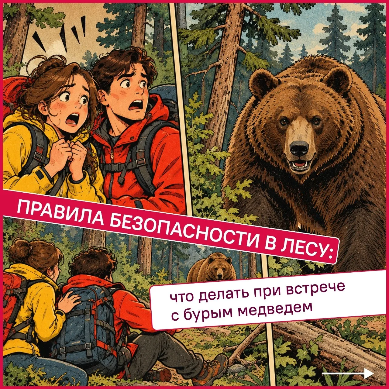 🐾Что делать, если встретили медведя в лесу?