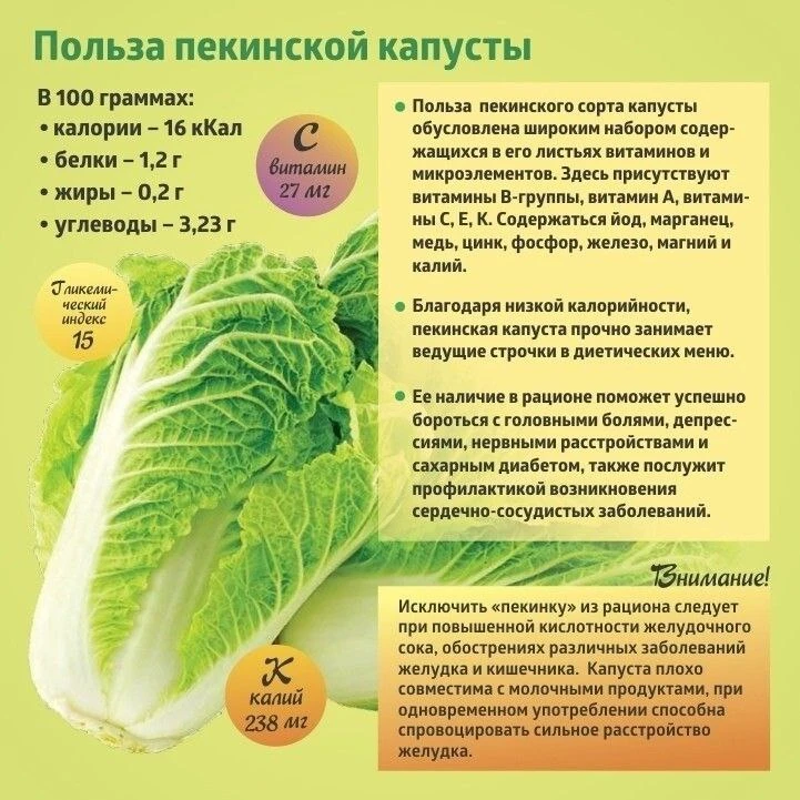 #полезные_свойства #пекинская #капуста