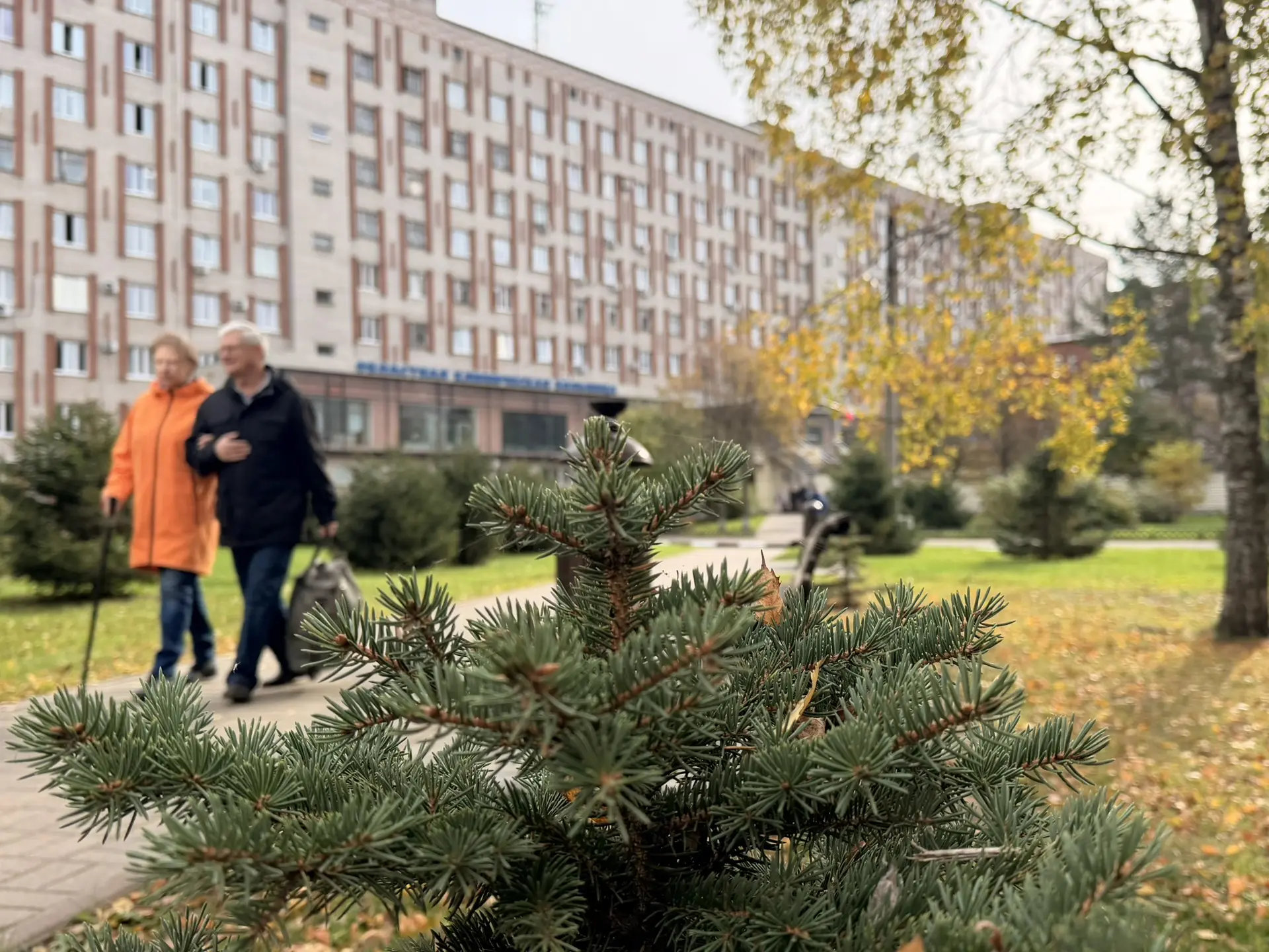 🍁13 октября в ЯОКБ доступно 695 слотов для записи. Из них свободно 6 явок.