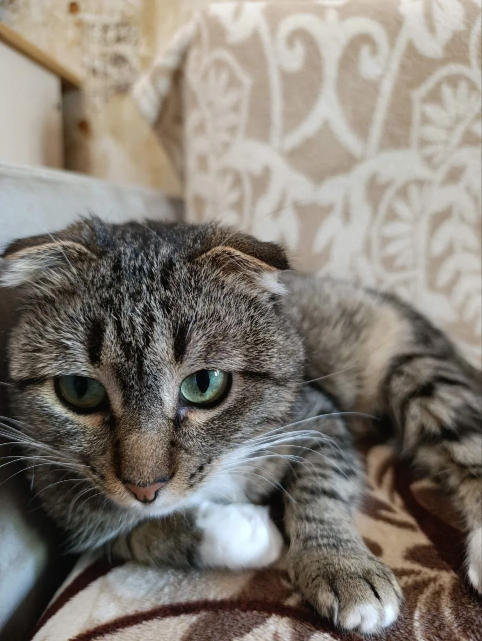 😊 ПРИВЕТ ИЗ ДОМА