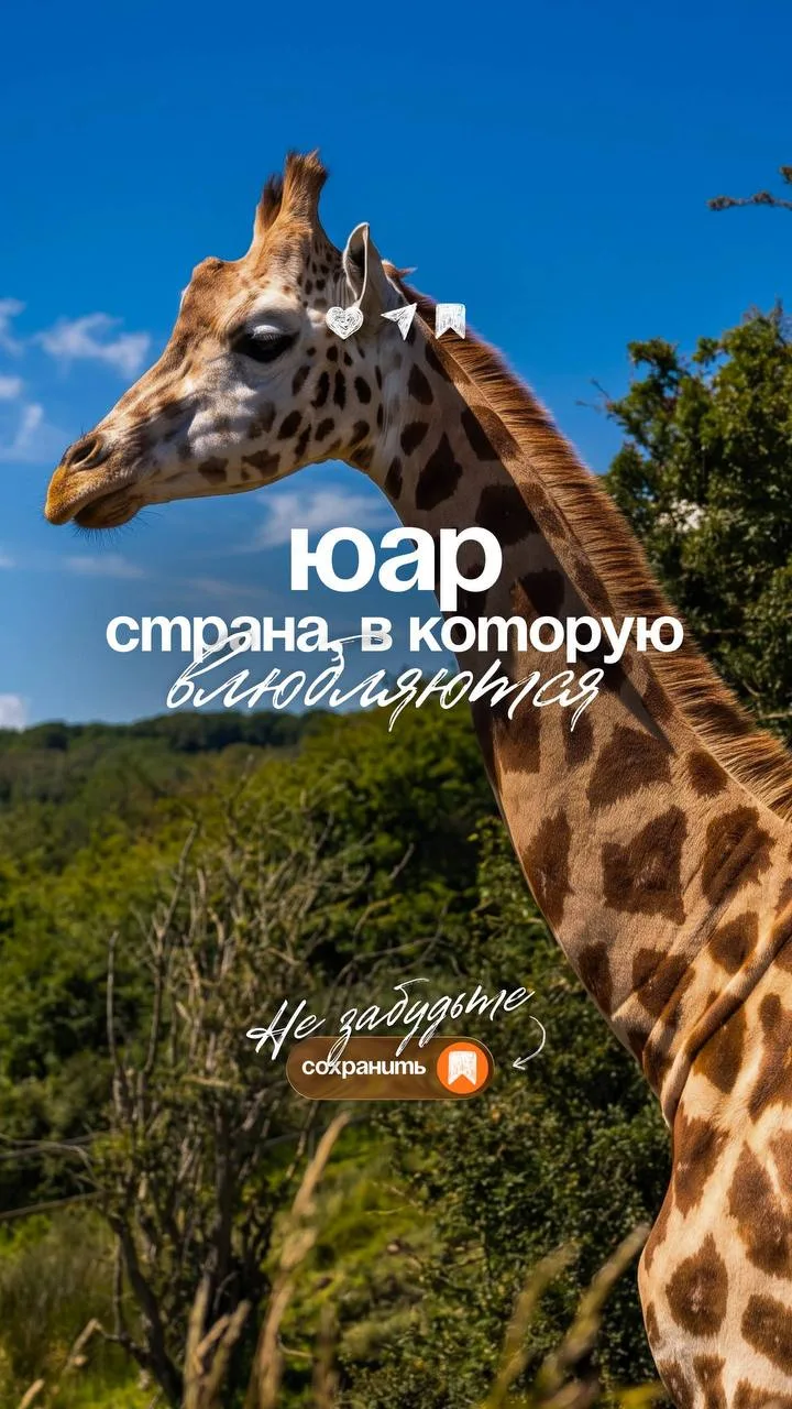 Каждый раз, выбирая привычный маршрут, вы лишаете себя эмоций, от которых буквально зах...