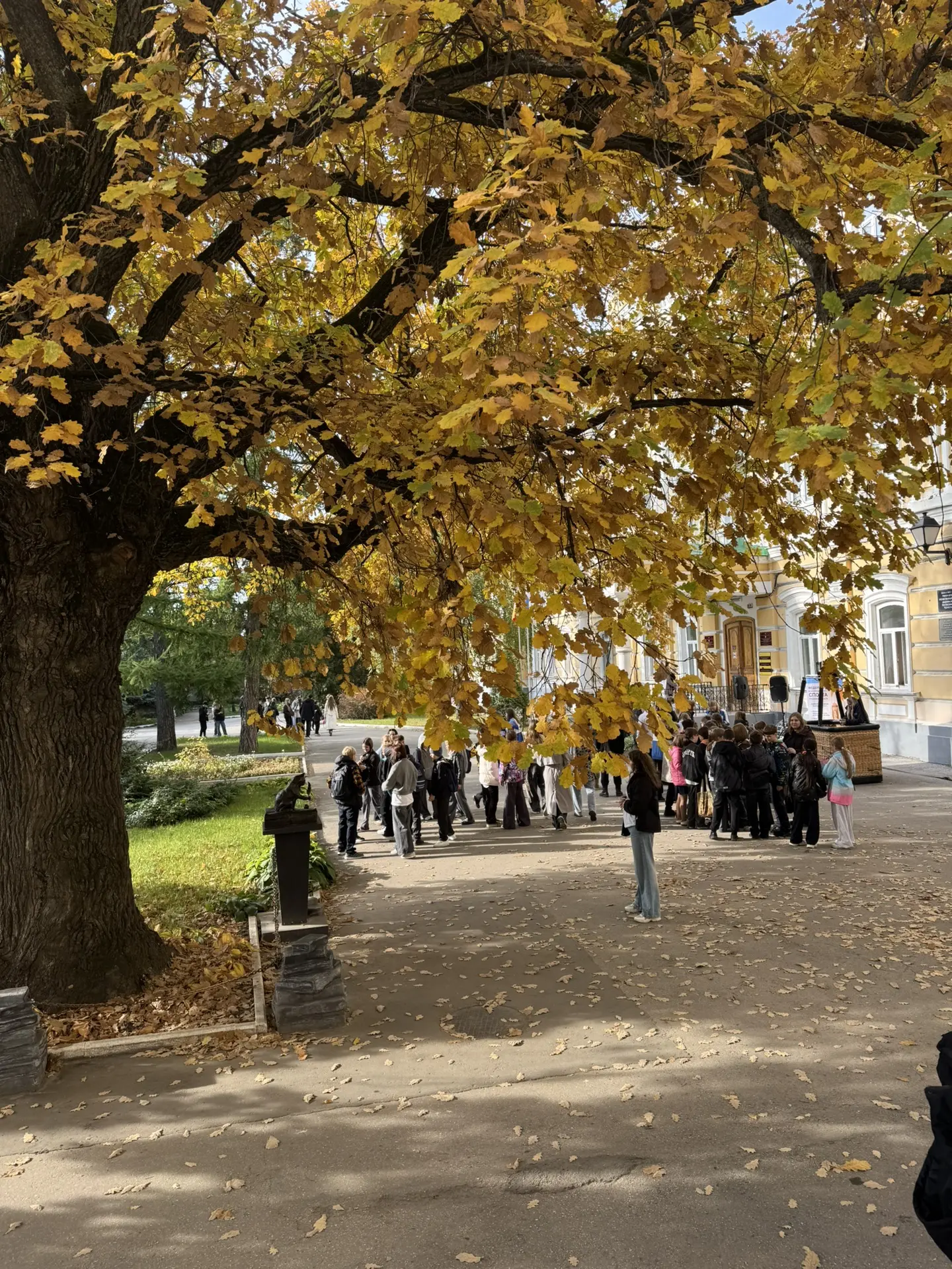Эта атмосфера 🍂