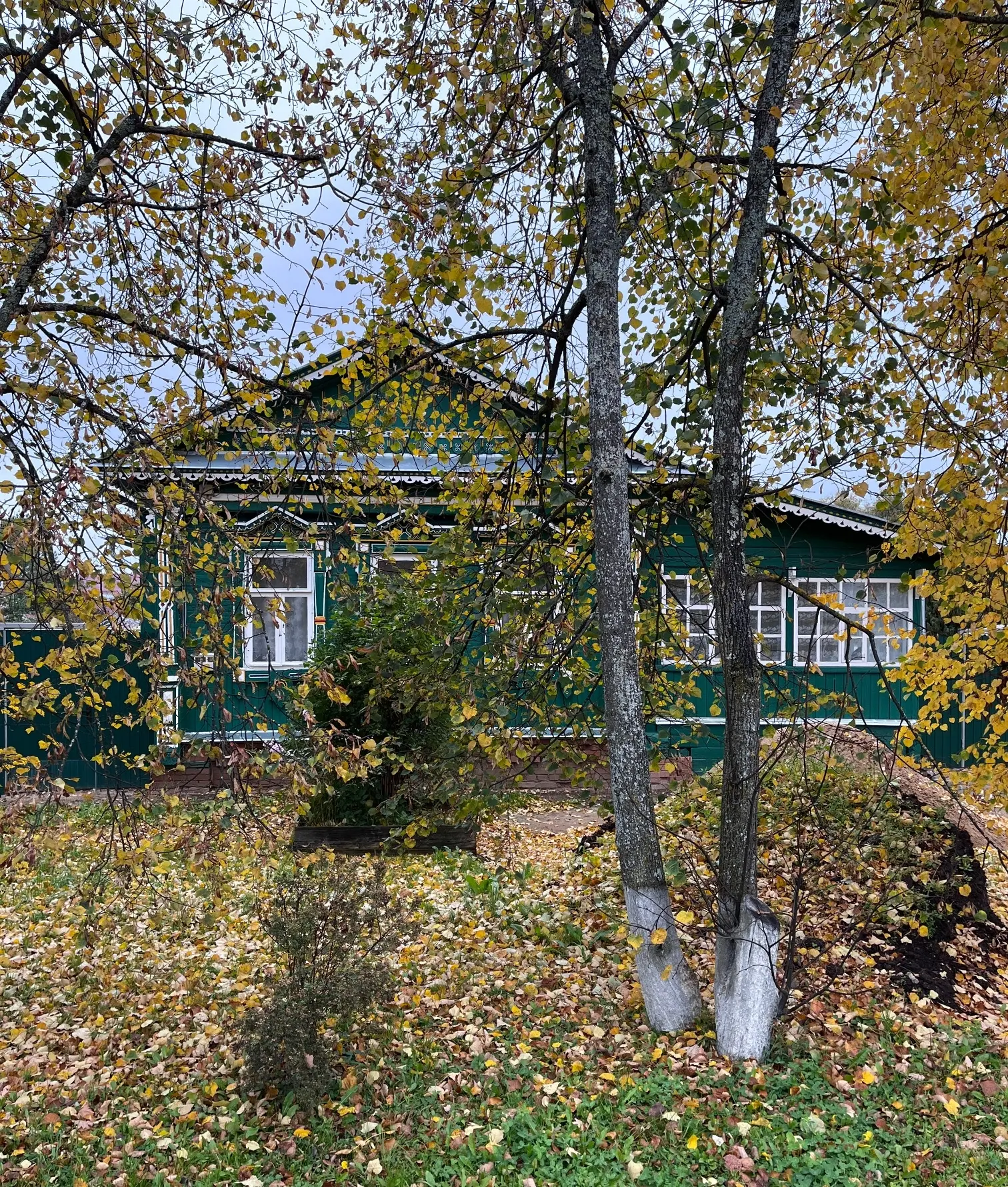 🏛️ Музей Д.А. Фурманова