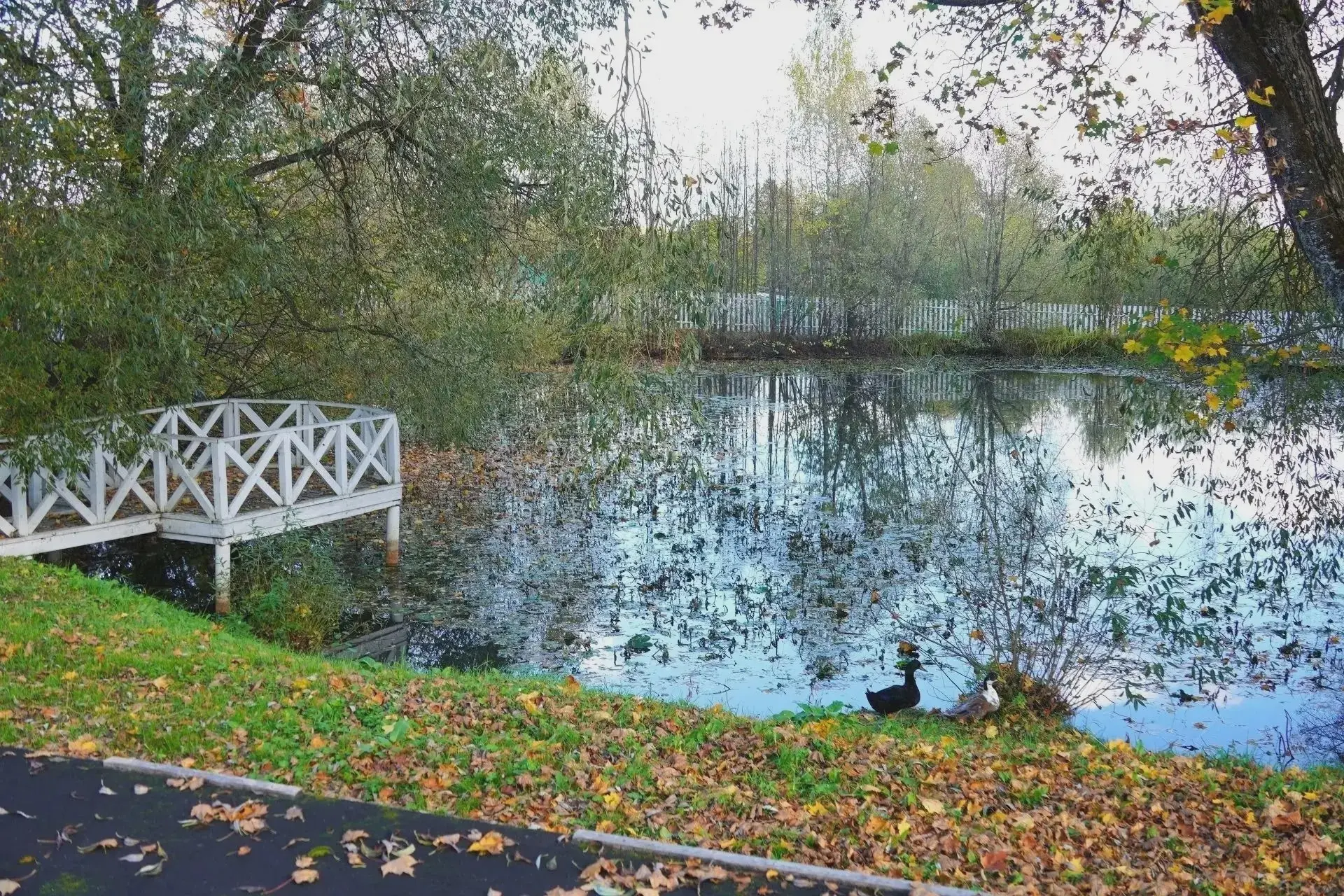 Осенние краски усадьбы Танеевых
