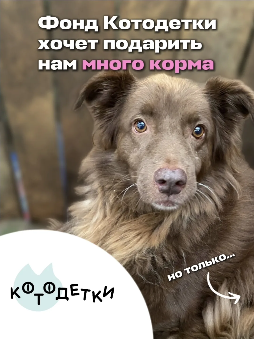 Друзья, очень нужна ваша помощь на оплату доставки из Москвы 2 тонн корма 🙏