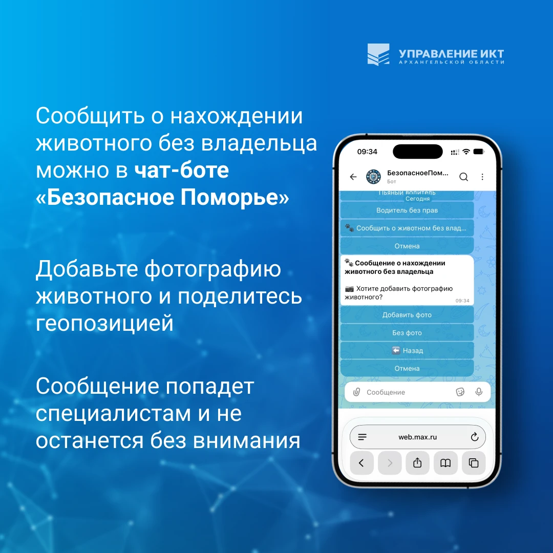 ✅ В «Безопасном Поморье» появилась новая функция: сообщить о животном без владельца ста...