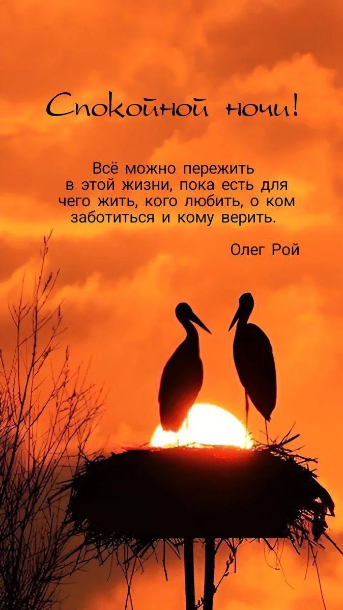 Женские открытки💝