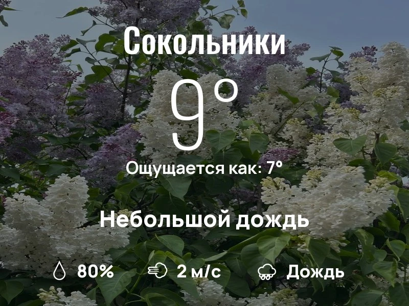 Что с погодой в Сокольниках?