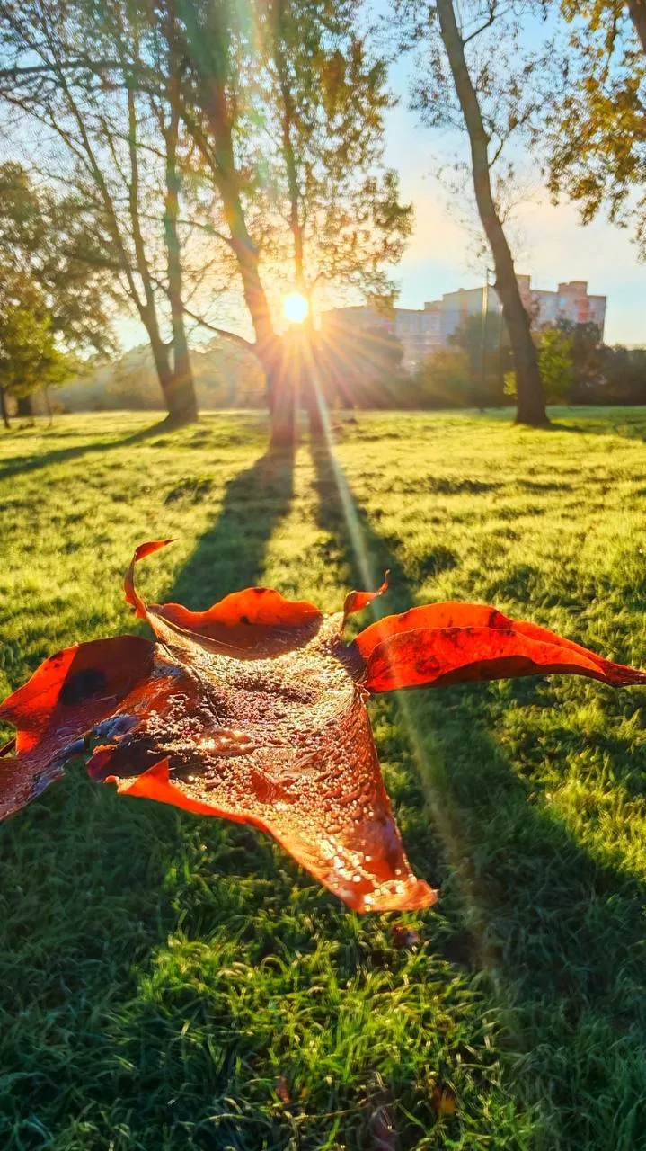 Доброе утро, Горячий Ключ ☀️