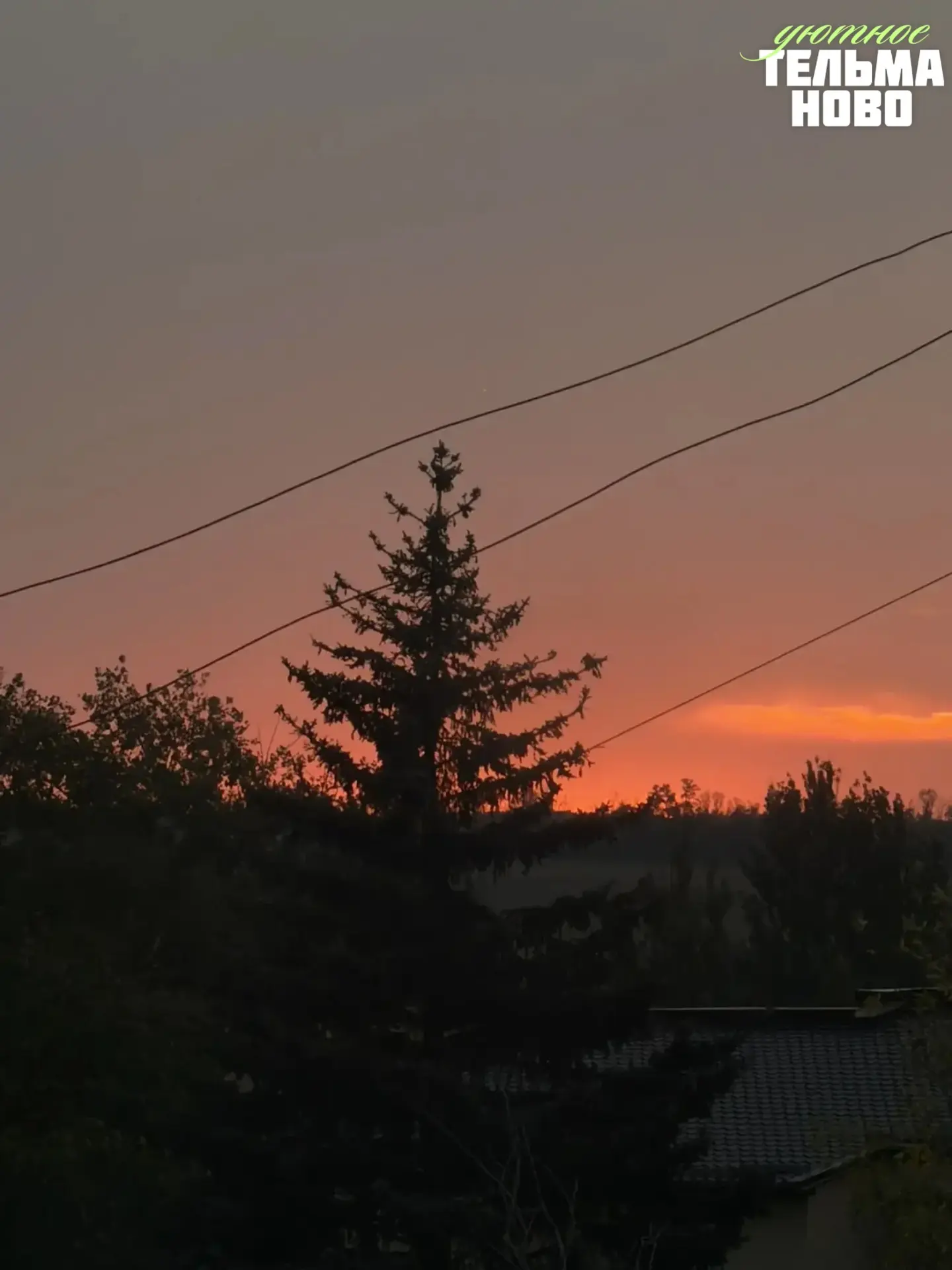 Среда — это уже маленькая победа 🌆