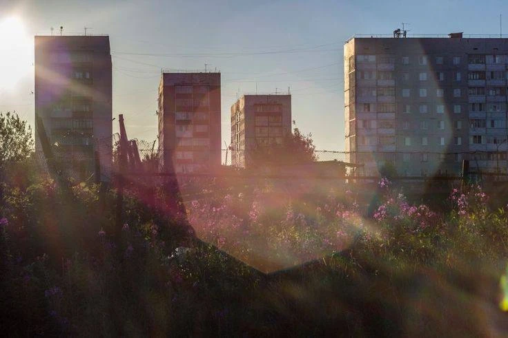 🌫️ Доброе, осеннее утро, соседи!