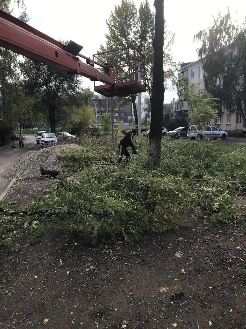 🌳 В Новокуйбышевске продолжают опиловку деревьев на придомовых территориях.