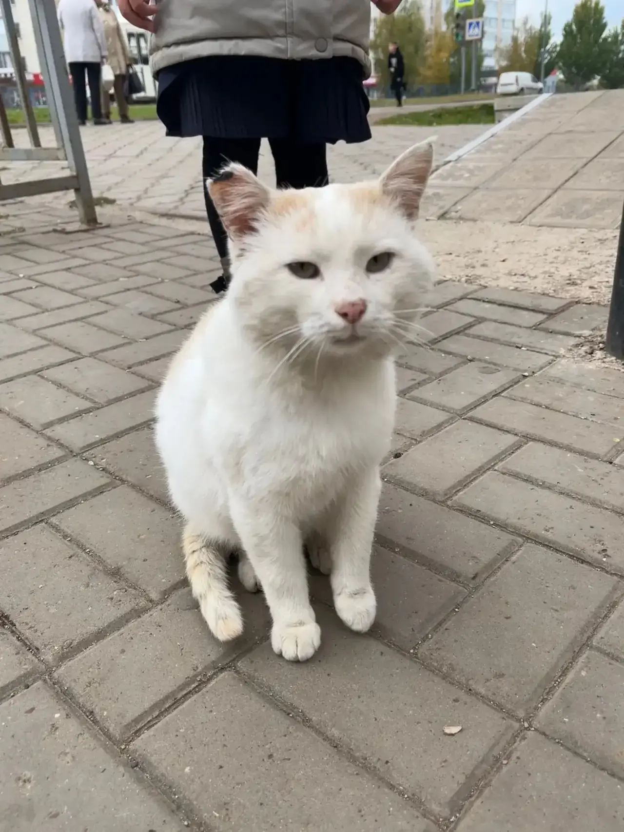 Опубликуйте пожалуйста