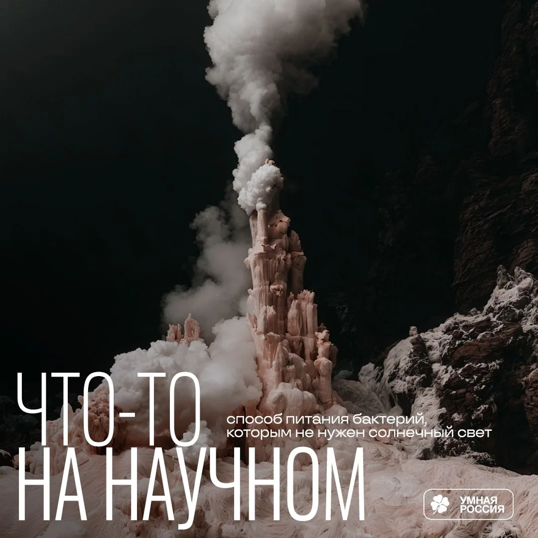 Хемосинтезом называют способ питания бактерий, которым не нужен солнечный свет (на этой...