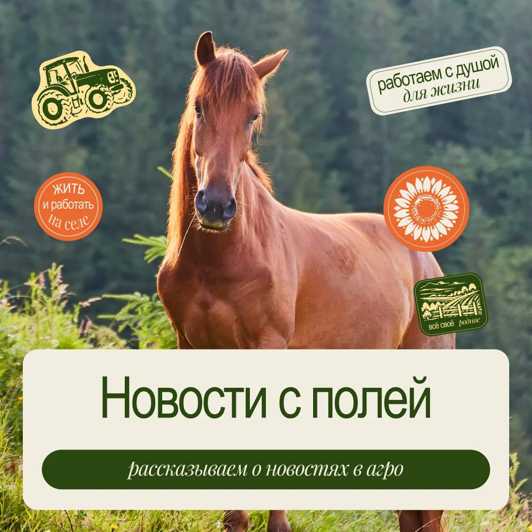 А у нас сегодня новостной пост 🌾 🐎
