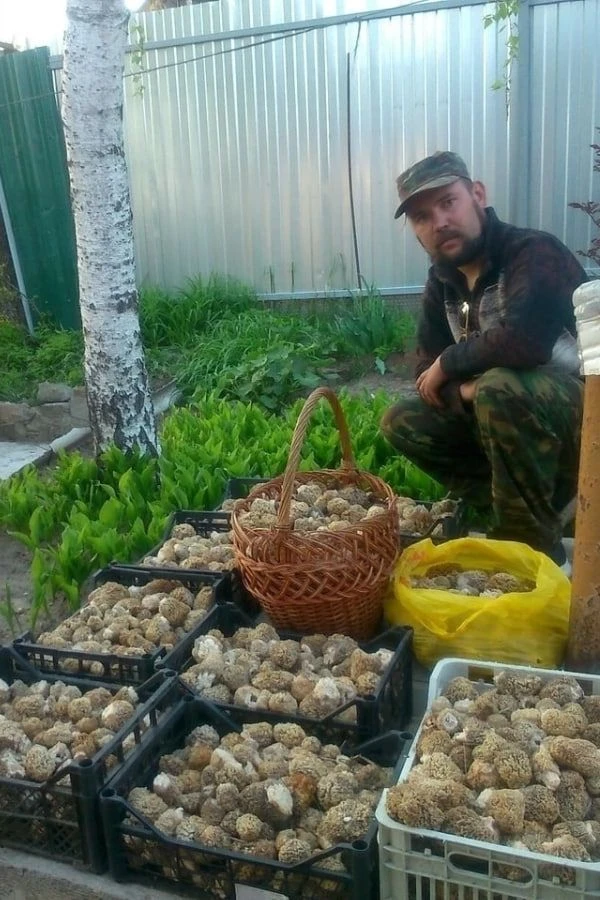 🍄‍🟫🍄 Грибная охота по-ростовски: заядлый грибник рассказал о любителях тихой охоты н...
