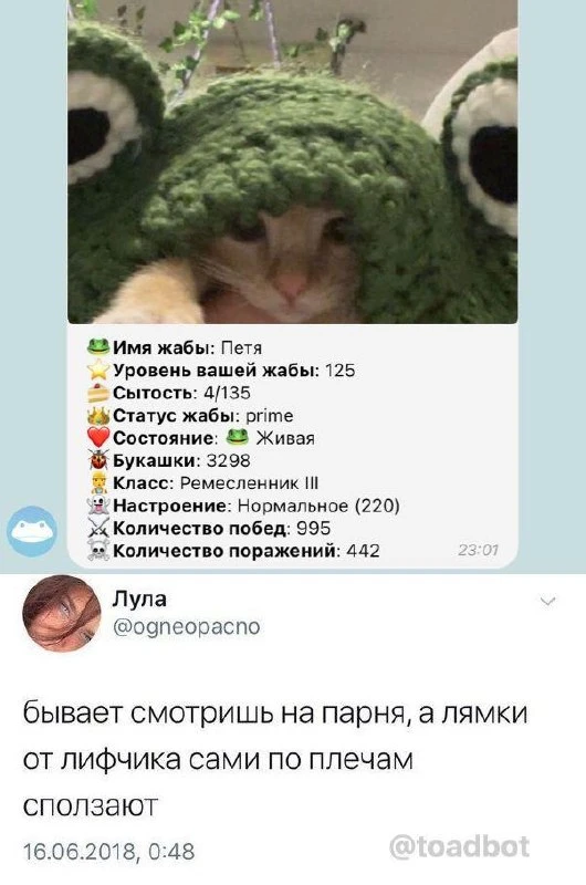 Заведи котика жабку в Жабаботе и больше не думай, куда деть свою заботу 💚