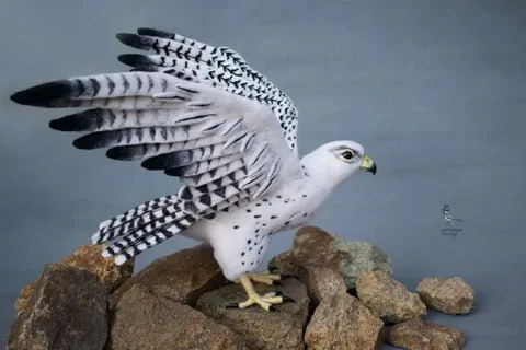 🧠 Белый сокол может лететь со скоростью 360 км/ч.