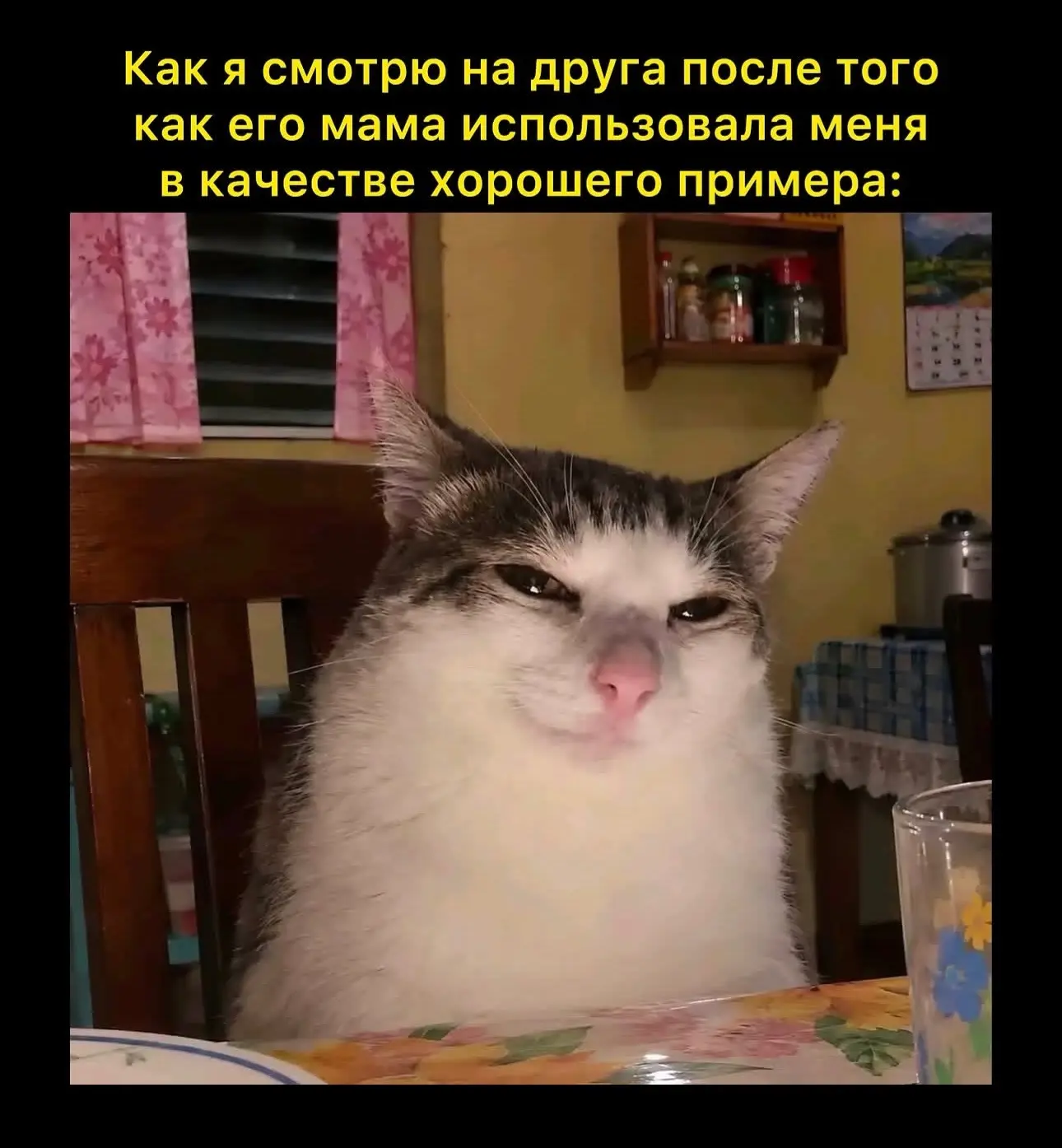 @memachh