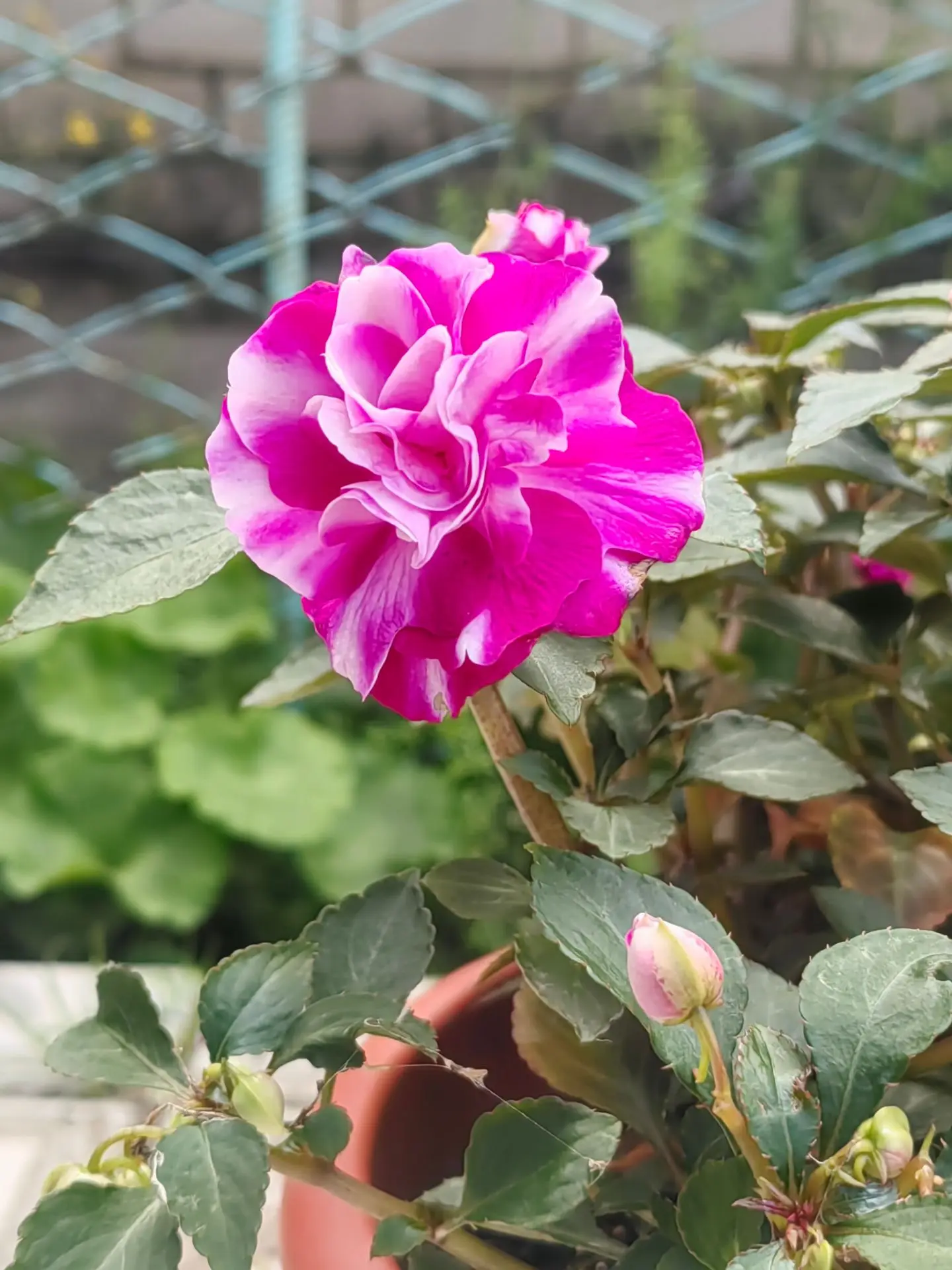 Хәерле иртә, дуслар? Ялларыгыз матур үтсен☀️🌷🕊️