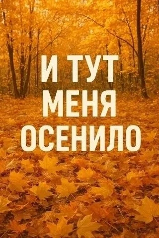Открытки с юмором 👉@otkritkipozdrav