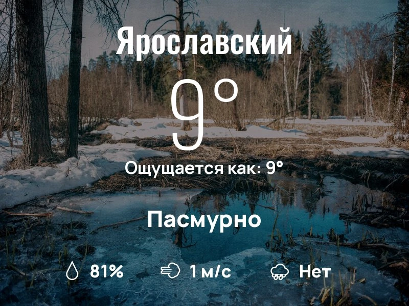 Что с погодой в Ярославском?